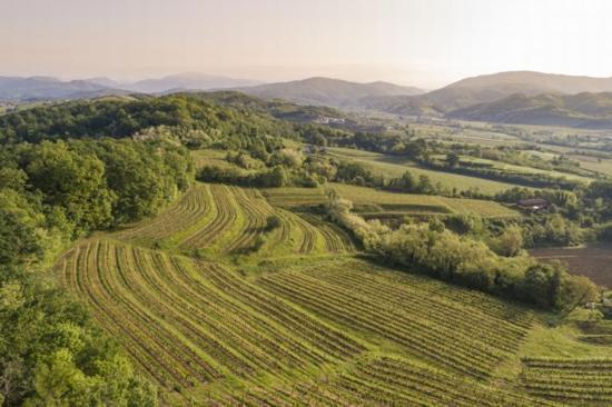 Agriturismo Spolert Winery Prepotto  Exteriér fotografie